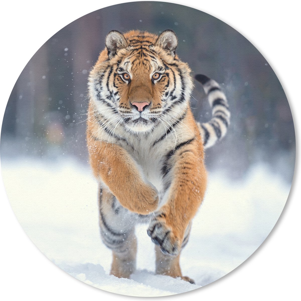 Muismat rond 40x40 cm - Mousepad Tijger - Landschap - Sneeuw - Winter - Dieren - Ronde muismatten
