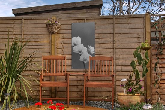 Poster de jardin Orchidée - Fleurs - Plante - Wit - Violet - 30x60 cm - Toile jardin - Poster extérieur