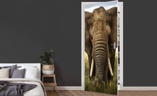 Sticker pour porte Éléphant - Nature - Herbe - Animaux - Paysage - 75x205 cm - Affiche de porte