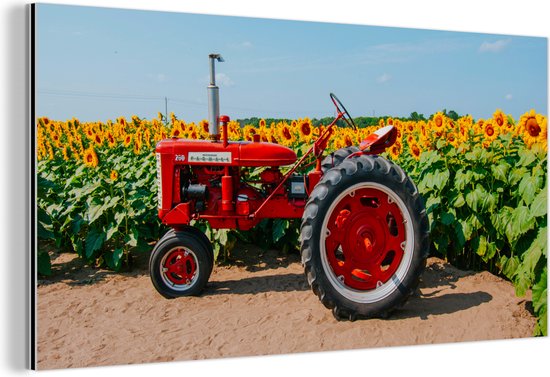 Een boeket bloemen in een vaas - Daniel Schultz schilderijen - Bloemen