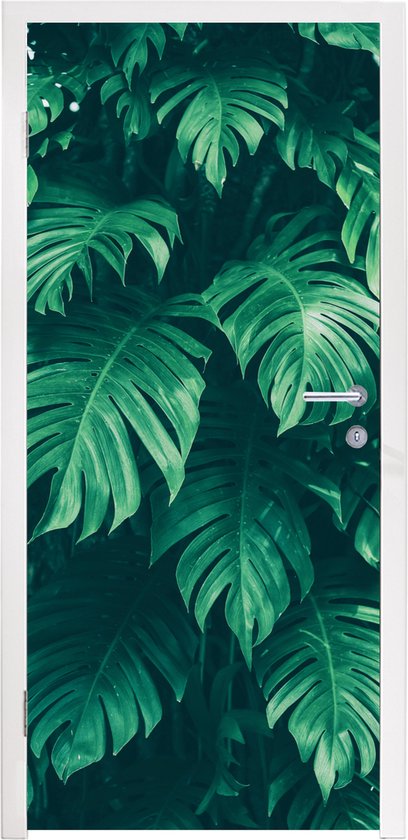 Deursticker Monstera - Bladeren - Planten - Jungle - Natuur - 80x205 cm - Deurposter