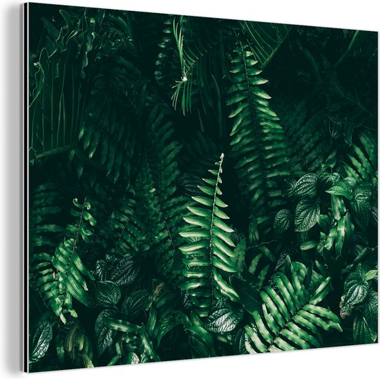 Wanddecoratie Metaal - Aluminium Schilderij Industrieel - Bladeren - Jungle - Natuur - Tropisch - Planten - 80x60 cm - Dibond - Foto op aluminium - Industriële muurdecoratie - Voor de woonkamer/slaapkamer