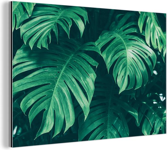 Wanddecoratie Metaal - Aluminium Schilderij Industrieel - Monstera - Bladeren - Planten - Jungle - Natuur - 90x60 cm - Dibond - Foto op aluminium - Industriële muurdecoratie - Voor de woonkamer/slaapkamer