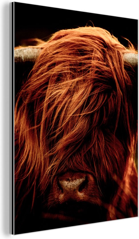 Impression Sur Toile De Vache Nordique Des Highland, Poster De Vache