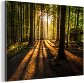 Wanddecoratie Metaal - Aluminium Schilderij Industrieel - Zon - Bomen - Bos - Landschap - Natuur - 40x30 cm - Dibond - Foto op aluminium - Industriële muurdecoratie - Voor de woonkamer/slaapkamer