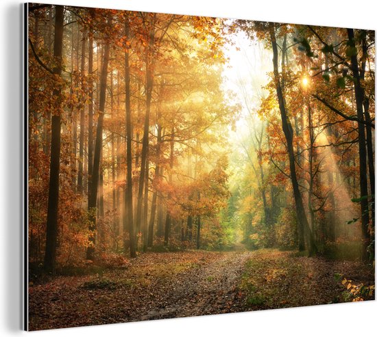 Wanddecoratie Metaal - Aluminium Schilderij Industrieel - Bos - Herfst - Zon - Landschap - Natuur - Bomen - Bladeren - 180x120 cm - Dibond - Foto op aluminium - Industriële muurdecoratie - Voor de woonkamer/slaapkamer