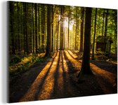 Wanddecoratie Metaal - Aluminium Schilderij Industrieel - Zon - Bomen - Bos - Landschap - Natuur - 60x40 cm - Dibond - Foto op aluminium - Industriële muurdecoratie - Voor de woonkamer/slaapkamer