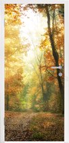 Deursticker Bos - Herfst - Zon - Landschap - Natuur - Bomen - Bladeren - 80x215 cm - Deurposter