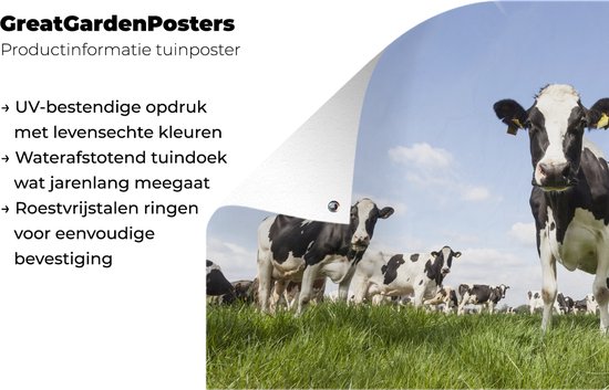 Tuinposter koeien - Tuindecoratie dieren - 120x80 cm - Tuindoek Friesland - Muurdecoratie voor buiten - Schuttingposter - Tuinschilderijen - Tuinwanddecoratie gras - Tuinposters
