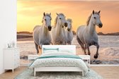 Behang - Fotobehang Paarden - Zon - Zee - Strand - Dieren - Breedte 295 cm x hoogte 220 cm