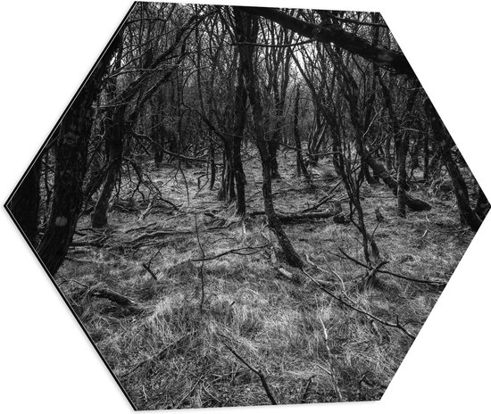 WallClassics - Dibond Hexagon - Takken in het Bos Zwart / Wit - 60x52.2 cm Foto op Hexagon (Met Ophangsysteem)