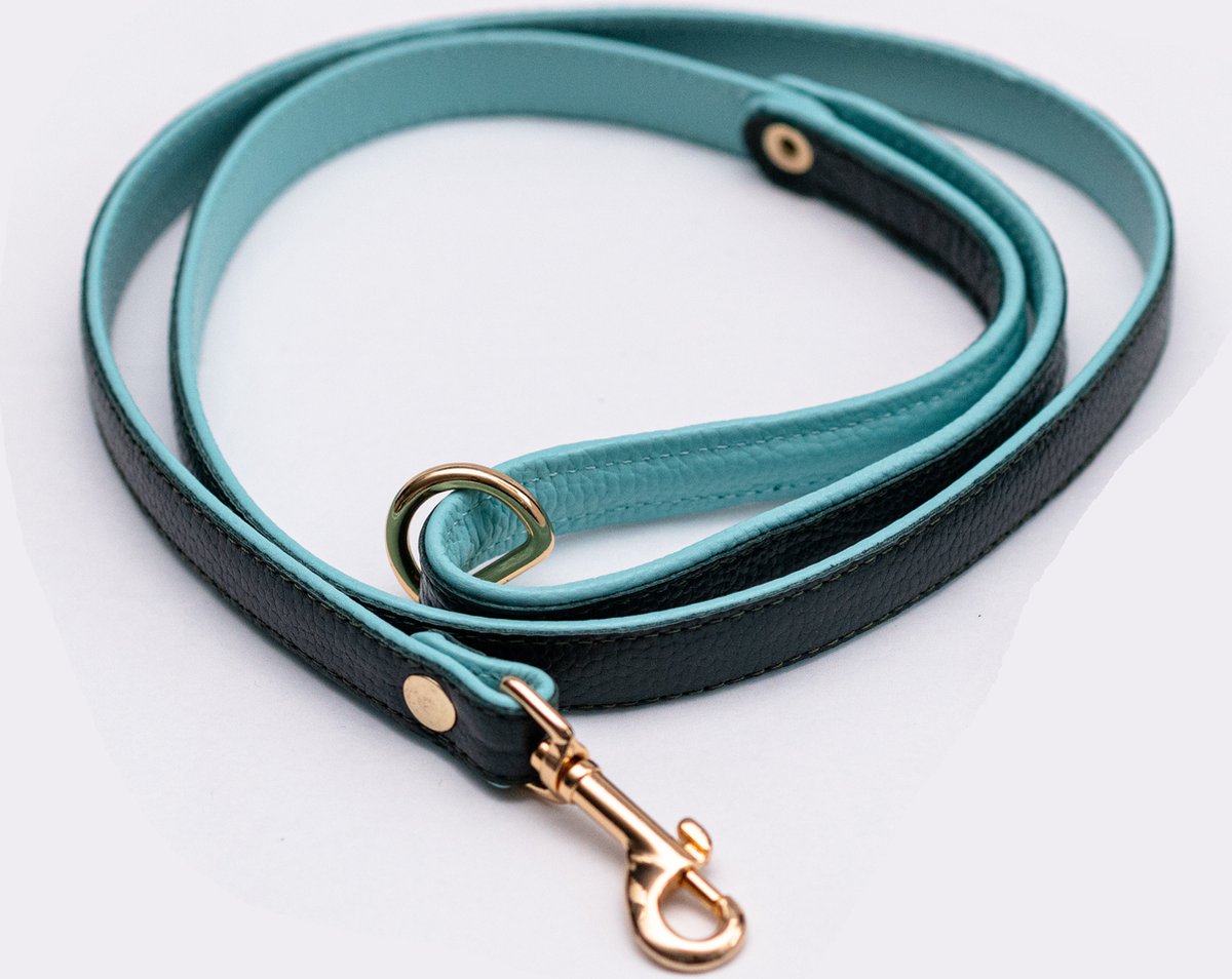 Halsband hond riem halsband puppy hondenhalsband Leren Groen Turquoise