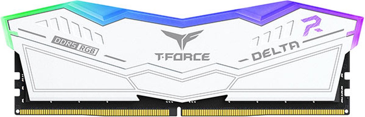 RAM geheugen Team Group Delta RGB DDR5