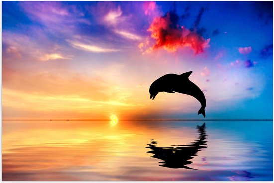 WallClassics - Poster Glanzend – Silhouet van Dolfijn bij Ondergaande Zon in het Water - 90x60 cm Foto op Posterpapier met Glanzende Afwerking