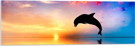 WallClassics - Acrylglas - Silhouet van Dolfijn bij Ondergaande Zon in het Water - 90x30 cm Foto op Acrylglas (Wanddecoratie op Acrylaat)