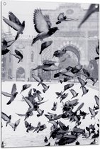 WallClassics - Tuinposter – Vliegende Duiven in de Sneeuw - 70x105 cm Foto op Tuinposter  (wanddecoratie voor buiten en binnen)