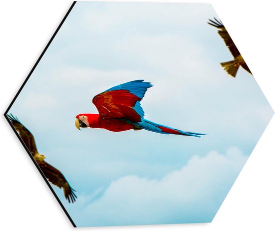 WallClassics - Dibond Hexagon - Vliegende Vogels Ara Papegaaien - 30x26.1 cm Foto op Hexagon (Met Ophangsysteem)