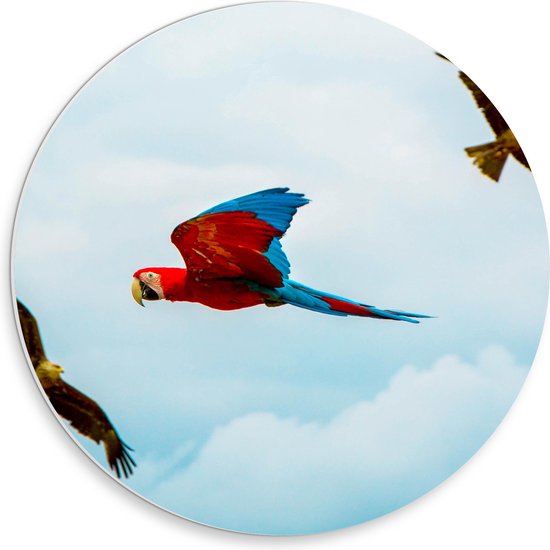 WallClassics - PVC Schuimplaat Muurcirkel - Vliegende Vogels Ara Papegaaien - 30x30 cm Foto op Muurcirkel (met ophangsysteem)
