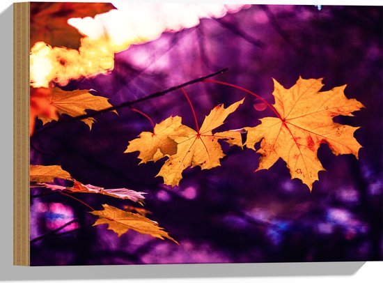 WallClassics - Hout - Oranje Herfstbladeren met Paarse Achtergrond - 40x30 cm - 12 mm dik - Foto op Hout (Met Ophangsysteem)