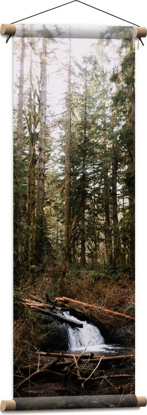 WallClassics - Textielposter - Kleine Natuur Waterval in het Bos - 30x90 cm Foto op Textiel