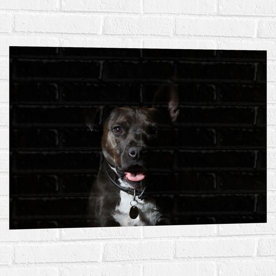 WallClassics - Muursticker - Vrolijke Staffordshire-Bulterriër met Donkere Achtergrond - 80x60 cm Foto op Muursticker