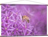 WallClassics - Affiche textile - Fleurs violettes avec abeille - 120x80 cm Photo sur textile