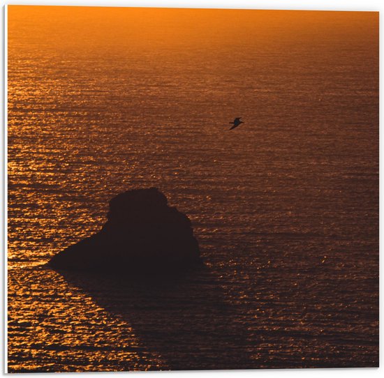 WallClassics - PVC Schuimplaat- Gele Hemel door Zonsondergang boven Zee - 50x50 cm Foto op PVC Schuimplaat