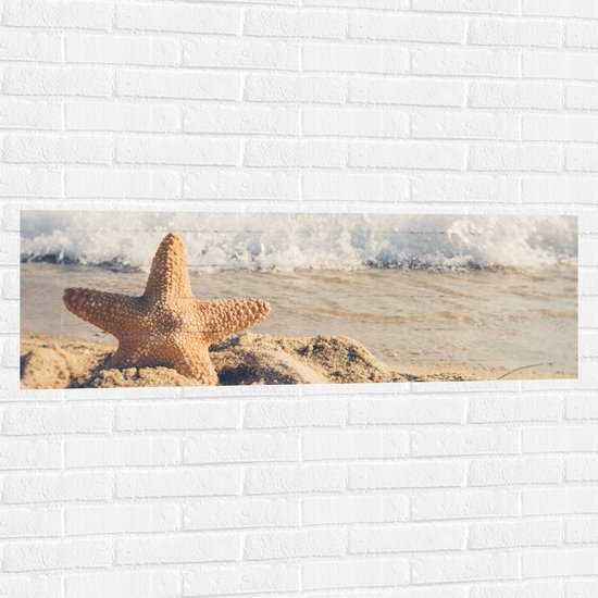 WallClassics - Muursticker - Grote Ster aan de Zee - 120x40 cm Foto op Muursticker