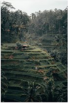 WallClassics - Poster (Mat) - Landbouwvelden in Bali - 100x150 cm Foto op Posterpapier met een Matte look