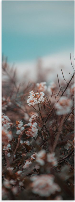 WallClassics - Poster Glanzend – Witte Bloementakjes bij het Strand - 30x90 cm Foto op Posterpapier met Glanzende Afwerking