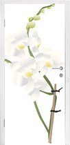 Deursticker Witte orchidee illustratie - Geïllustreerde orchidee bloem - 95x215 cm - zelfklevende deurposter - bubbelvrij en herpositioneerbare deursticker