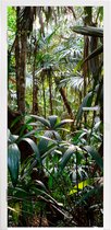 Deursticker Planten in regenwoud - 90x235 cm - Deurposter