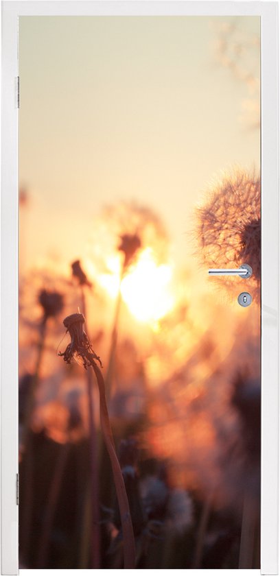 Deursticker Paardenbloem - Zonsondergang - Lente - 90x205 cm - Deurposter