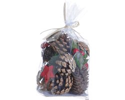 Kerst DIY knutselen pakket van Naturn Christmas | 9 x 9 x 16 cm | Duurzame kerstdecoratie set | Kerstpakket decoratie | Rood