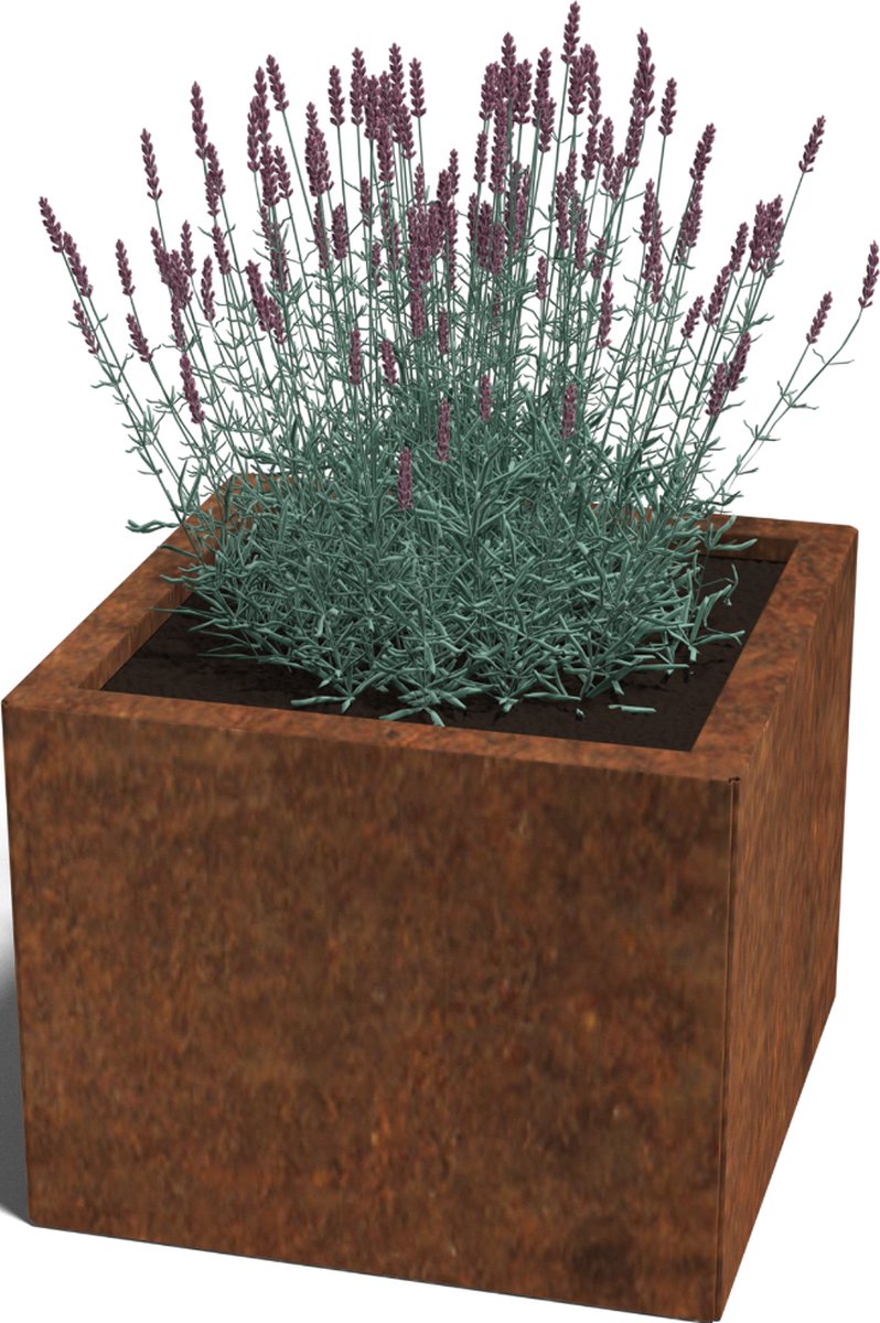 Cortenstaal plantenbak - Vierkant - 50x50x80cm - Roestkleur - Zonder bodem - MySteel
