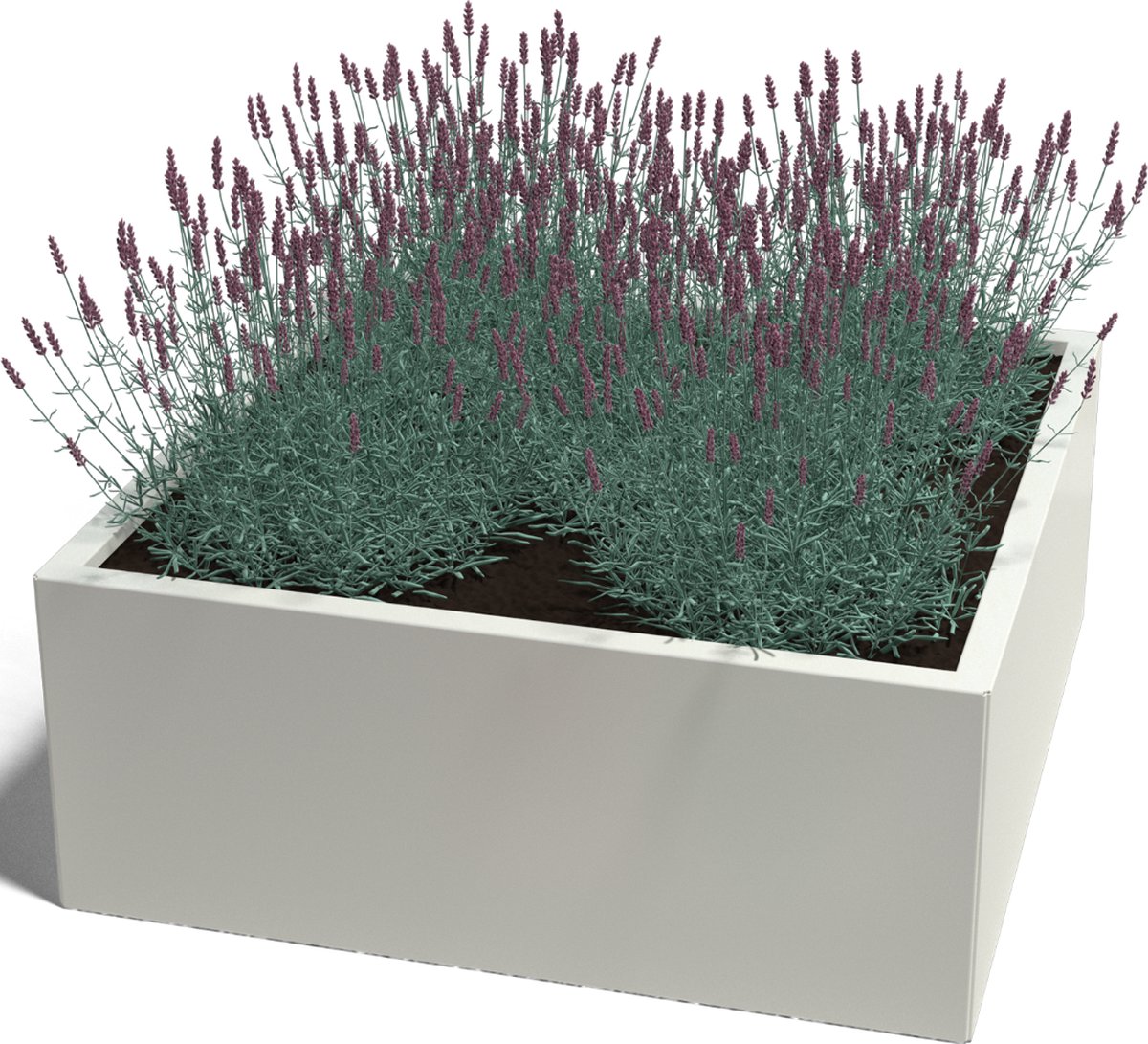 Gepoedercoat staal - plantenbak - Vierkant - 100x100x30cm - Wit - Zonder bodem - MySteel