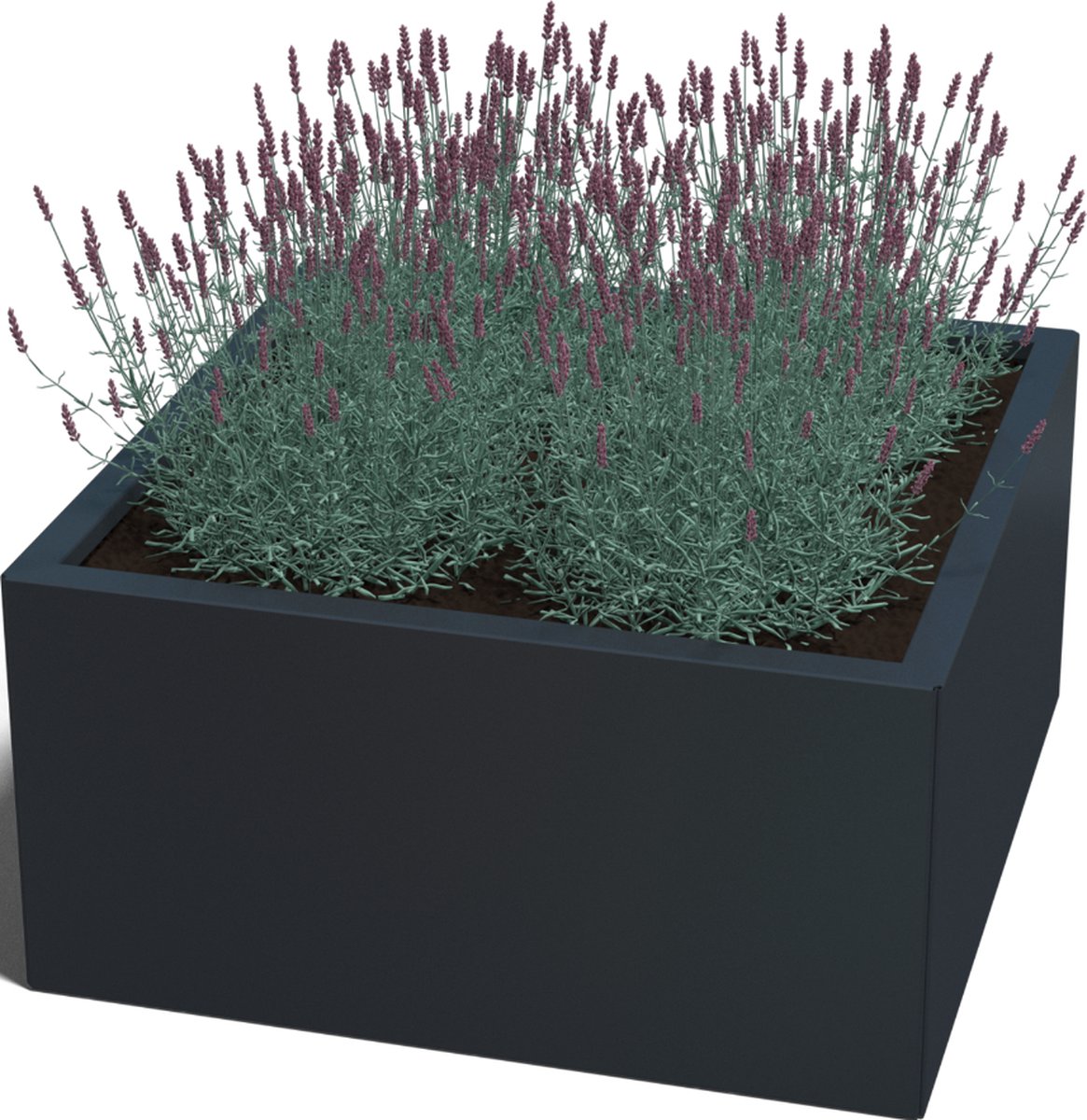 Gepoedercoat staal - plantenbak - Vierkant - 80x80x40cm - Zwart - Zonder bodem - MySteel