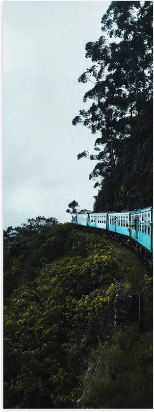 WallClassics - Poster Glanzend – Blauwe Trein door Begroeiing op Brug - 20x60 cm Foto op Posterpapier met Glanzende Afwerking