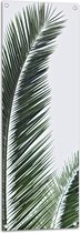 WallClassics - Tuinposter – Groene Palmtak tegen Witte Achtergrond - 40x120 cm Foto op Tuinposter  (wanddecoratie voor buiten en binnen)