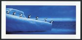 Pinguins - Winterkaarten - Set van 10 lange winterkaarten