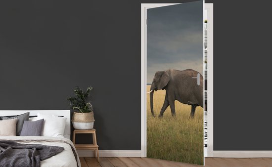 Deurposter 80x205 cm - Deursticker Olifant - Savanne - Dieren - Natuur - Meubelfolie zelfklevend - Deurfolie woonkamer - Interieurfolie fotobehang - Deur plakfolie - Deurstickers - Deurbehang sticker - Kamer decoratie