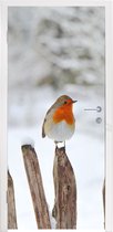 Deursticker Vogel - Hek - Sneeuw - 80x205 cm - Deurposter