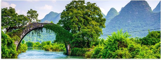 WallClassics - Poster Glanzend – Begroeide Brug over Rivier in Berglandschap - 60x20 cm Foto op Posterpapier met Glanzende Afwerking