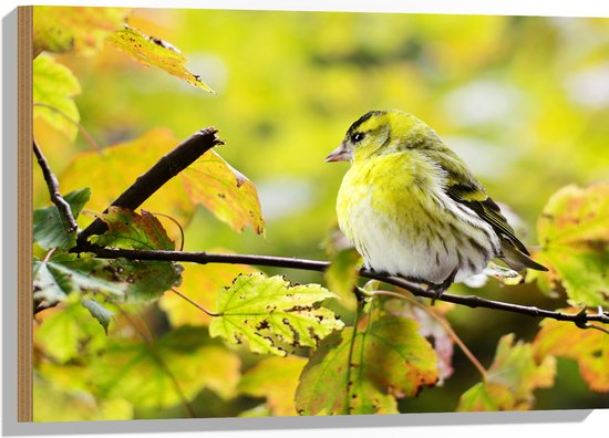 WallClassics - Hout - Geel Vogeltje op een Tak - 75x50 cm - 12 mm dik - Foto op Hout (Met Ophangsysteem)