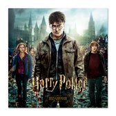 Harry Potter kalender 2023 - J.K. Rowling - Ron - Hermelien - Voldemort - formaat 30 x 30 cm