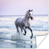 Poster Paard - Zee - Pastel - 50x50 cm
