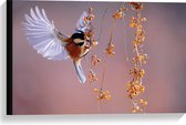 WallClassics - Canvas  - Klein Vogeltje Eet Besjes tijdens het Vliegen - 60x40 cm Foto op Canvas Schilderij (Wanddecoratie op Canvas)