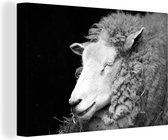 Tableau sur toile Mouton endormi dans la paille - noir et blanc - 30x20 cm - Décoration murale