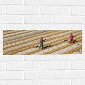 WallClassics - Muursticker - Werkende Vrouwen op het Land - 60x20 cm Foto op Muursticker