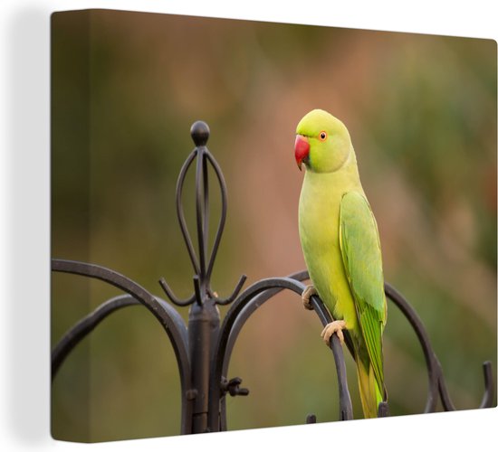 Foto: Canvas schilderij een groene halsbandparkiet op een kooi tegen een vervaagde achtergrond 40x30 cm wanddecoratie